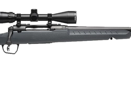 SAVAGE ARMS AXIS 2 CPT 350LEG BL/GRY PKG