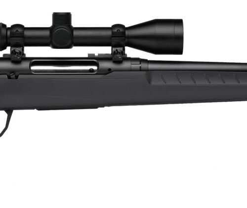 SAVAGE ARMS AXIS 2 270WIN BL/GRY 22" PKG