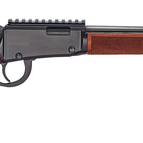 HENRY REPEATING ARMS LEVER ACTION 22MAG BL/WD RAIL