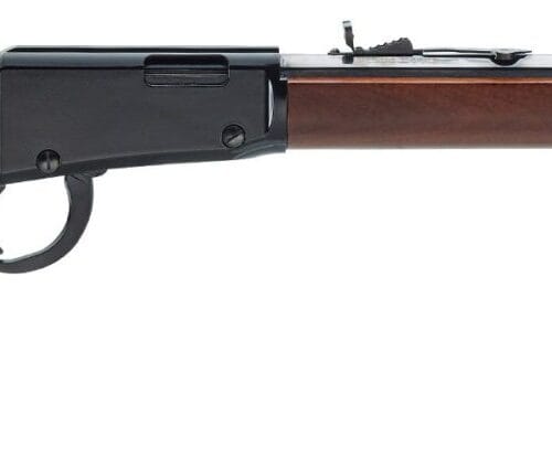 HENRY REPEATING ARMS LEVER ACT 22LR 20" OCTAGON BBL