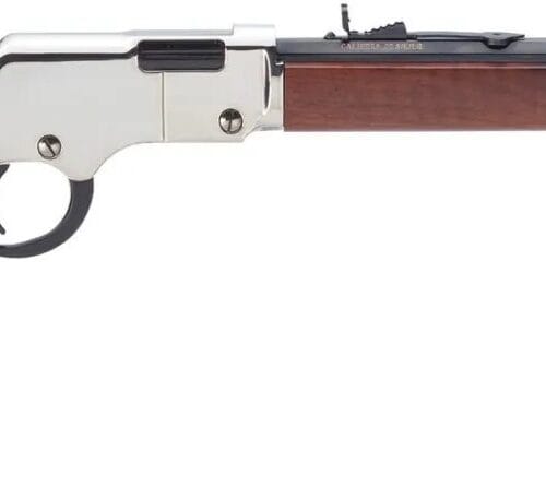 HENRY REPEATING ARMS GOLDEN BOY SILVER LEVER 22LR