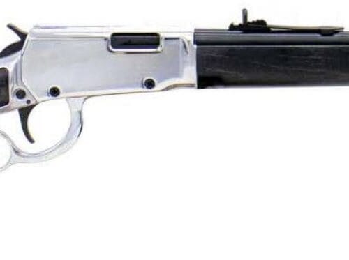 ROSSI RIO BRAVO 22LR NI/WD 18" 15+1