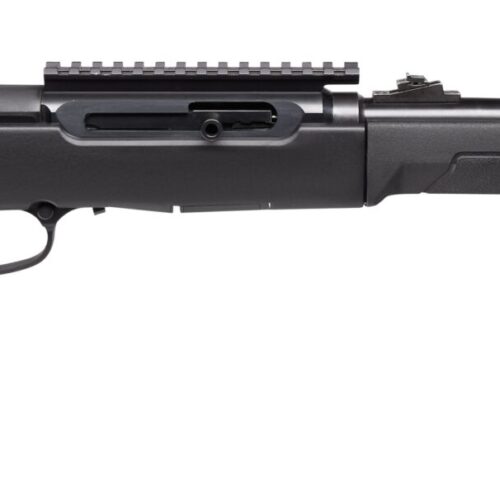SAVAGE ARMS A22 TAKEDOWN 22LR BL/SY 10+1