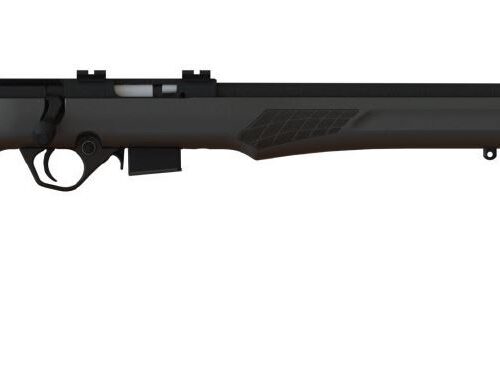 ROSSI RB17 17HMR BLK/SYN 21" 5+1