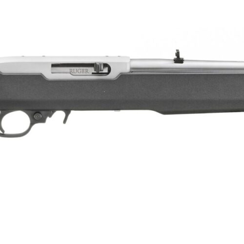 RUGER 10/22 22LR SS/SYN MOE X22 18"
