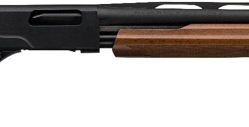 WINCHESTER SXP FIELD CPT 20/22 BL/WD 3"