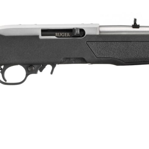 RUG 10/22 22LR 16 TB SS