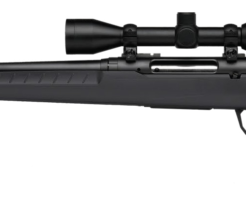SAVAGE ARMS AXIS 2 22-250 BL/GRY PKG LH