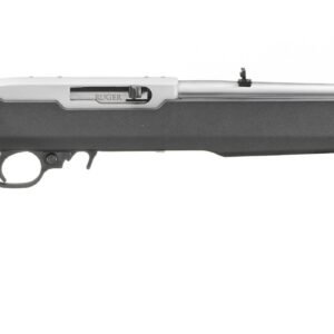 RUGER 10/22 22LR SS/SYN MOE X22 18"#