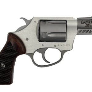 CHARTER ARMS COYOTE 380ACP SS 2" 5RD