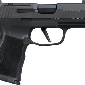 SIG P365XL COMP 380 12R XRY