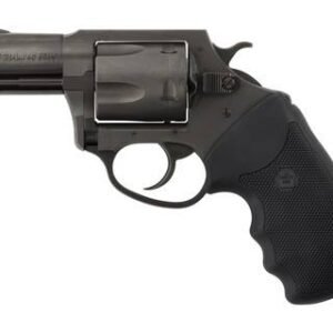 CHARTER ARMS CHARTER PITBULL 40SW NIT 2" FS