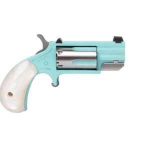 NAM PUG 22M SS 1IN HB FS TQ DE