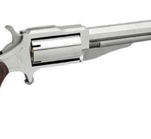 NORTH AMERICAN ARMS THE EARL 22LR/22MAG 4" SS 5SH#