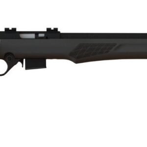 ROSSI RB17 17HMR BLK/SYN 21" 5+1