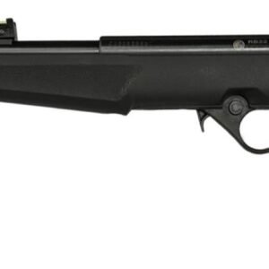 ROSSI RB22 22LR BLK/SYN FLAG 16.5" #