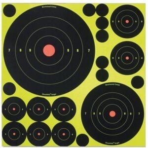 Birchwood Casey Shoot-N-C Adhesive Targets Variety/Pack