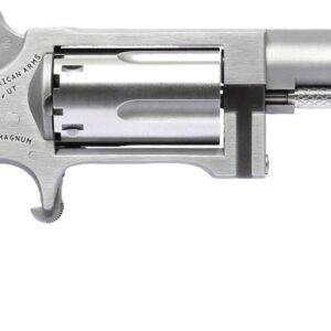 NAA SIDEWINDER 2.5" BRL 22M/22LR MINI REV