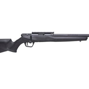 SAV B17FVSR 17HMR BA RFL 10RD