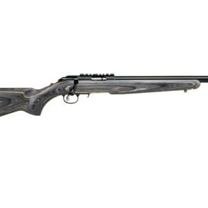 RUG AM RFL RF TGT 17HMR 9RD