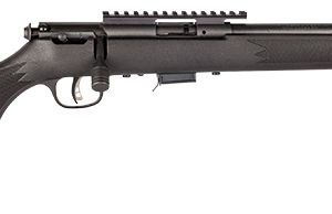 SAVAGE ARMS 93 BOLT 17HMR BL/SY 16.5" TB