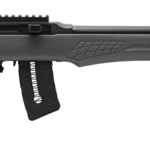 ROSSI RS22 22MAG BLK/GRAY 21" 10+1