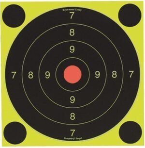 Birchwood Casey Shoot-N-C International Target